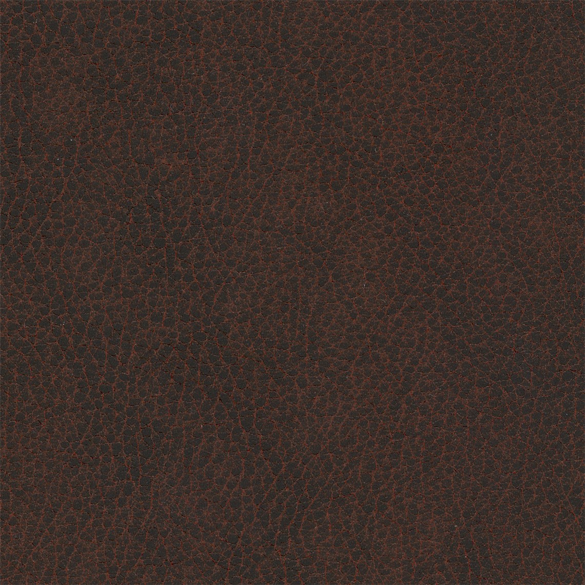 Silicone_Swayed_Plasma