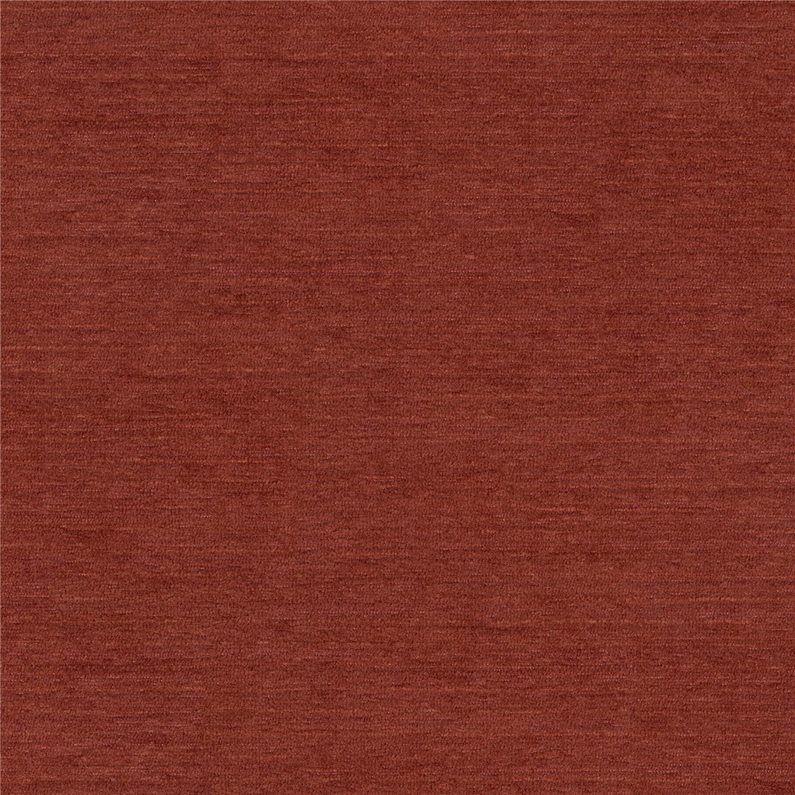 Skipper_Spice