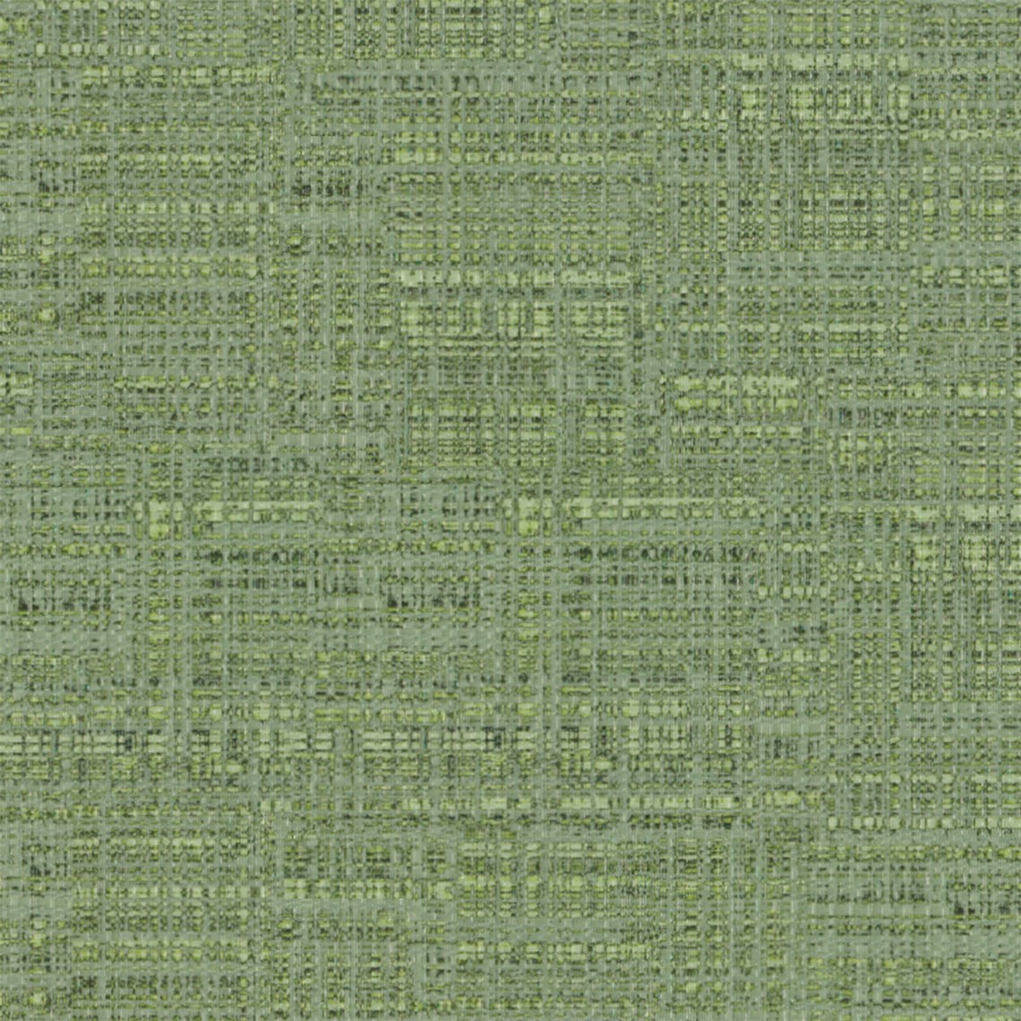 Static_Everglade