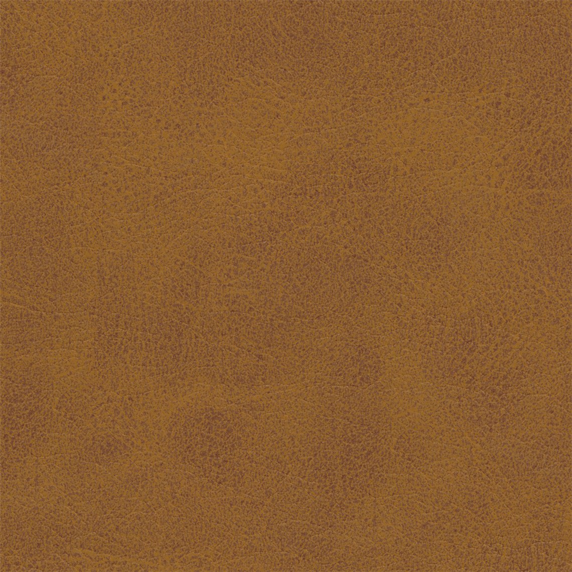 Steed_Amaretto