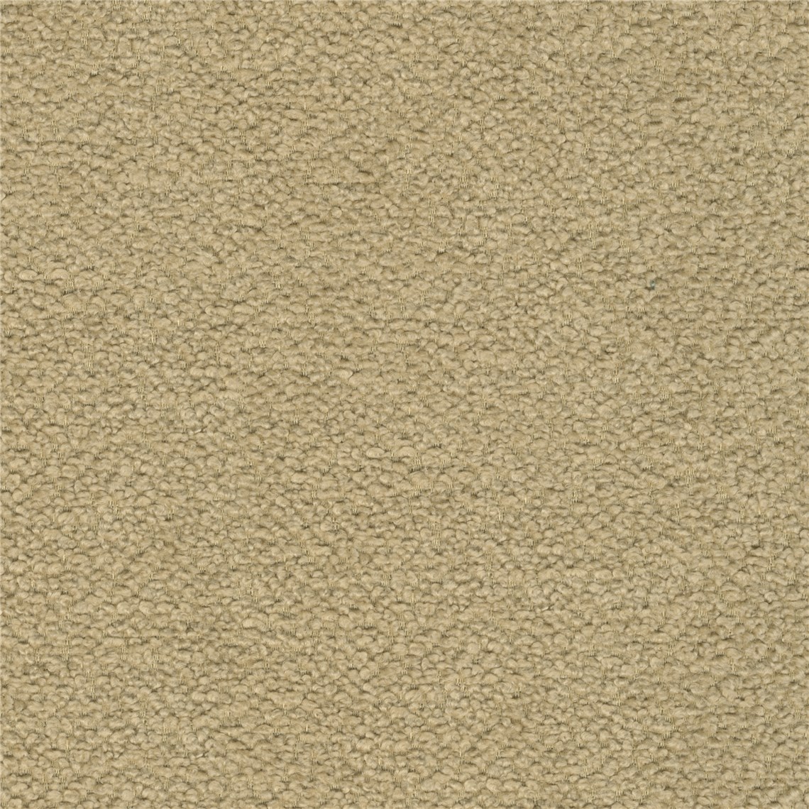 Steeves_Cookie_Dough