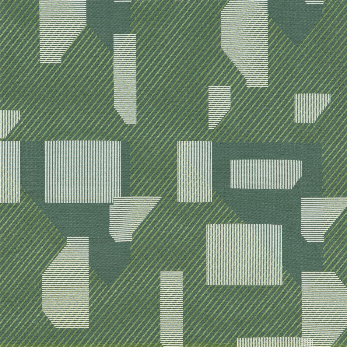 String_Theory_Eucalyptus