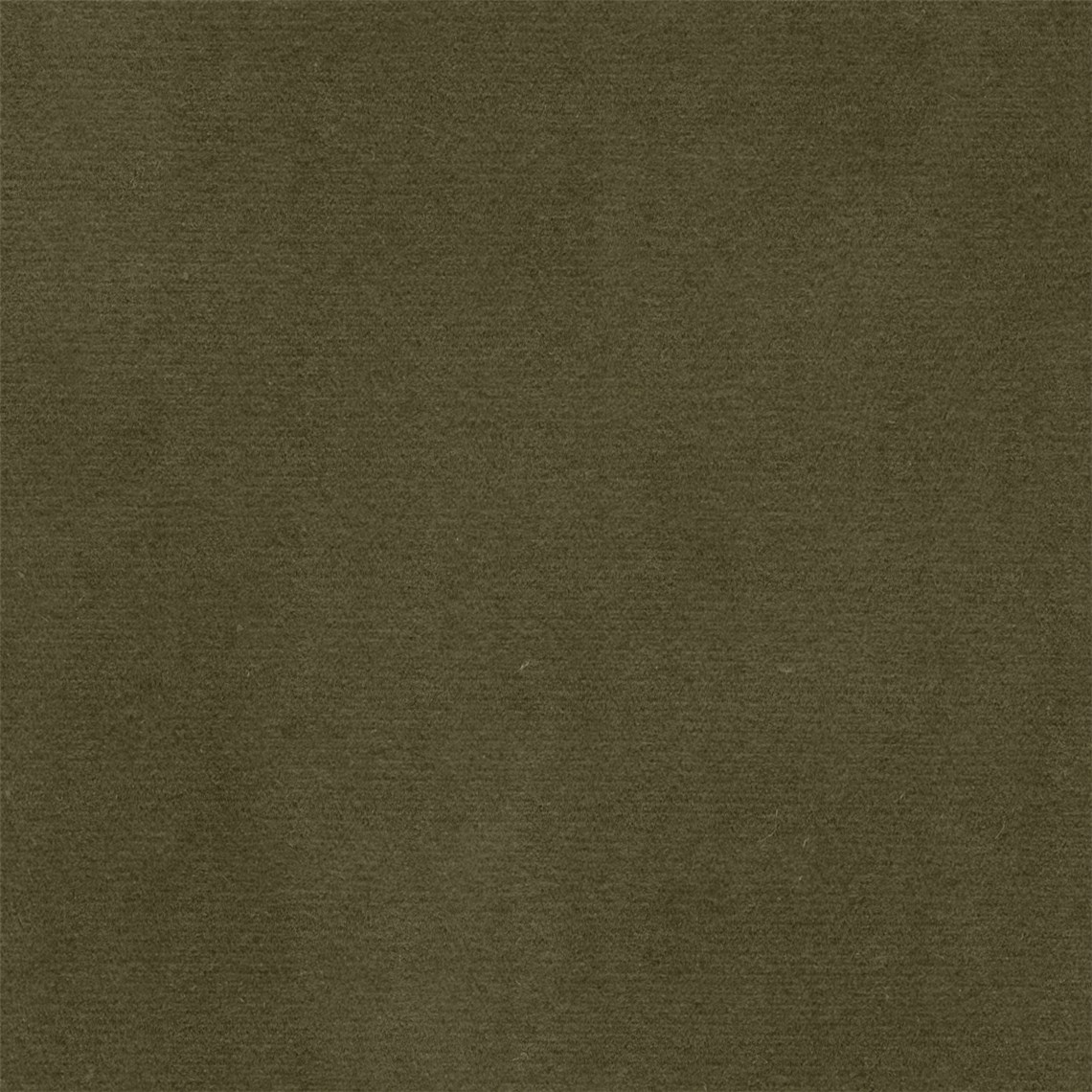 Suedely_Green