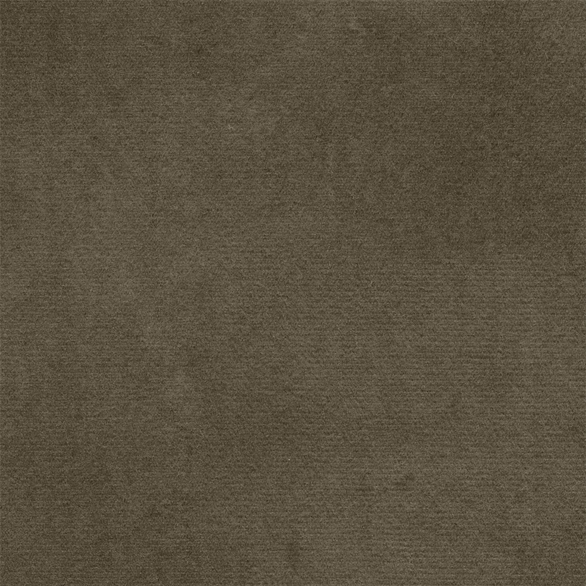 Suedely_Stone