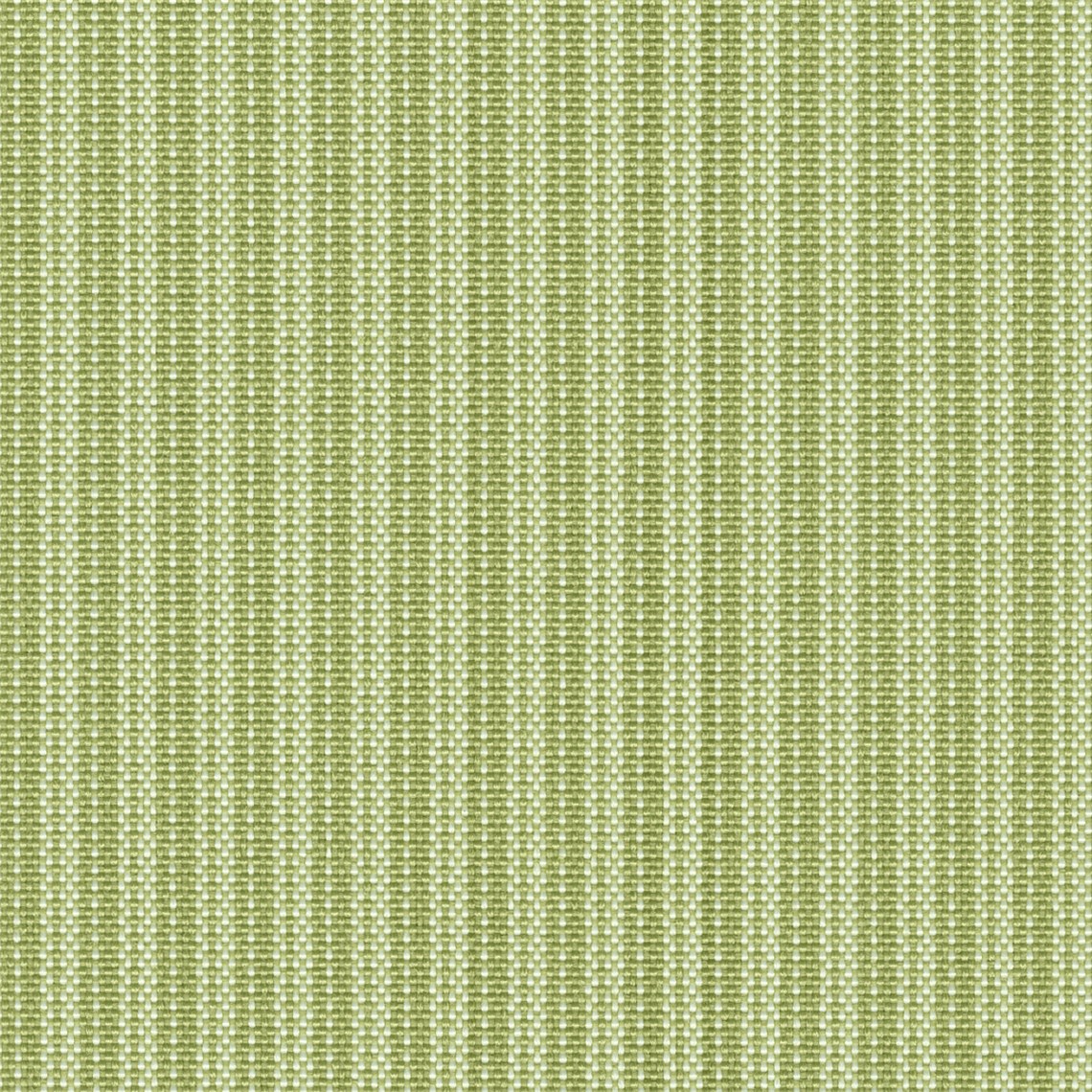 Sunfair_Celery