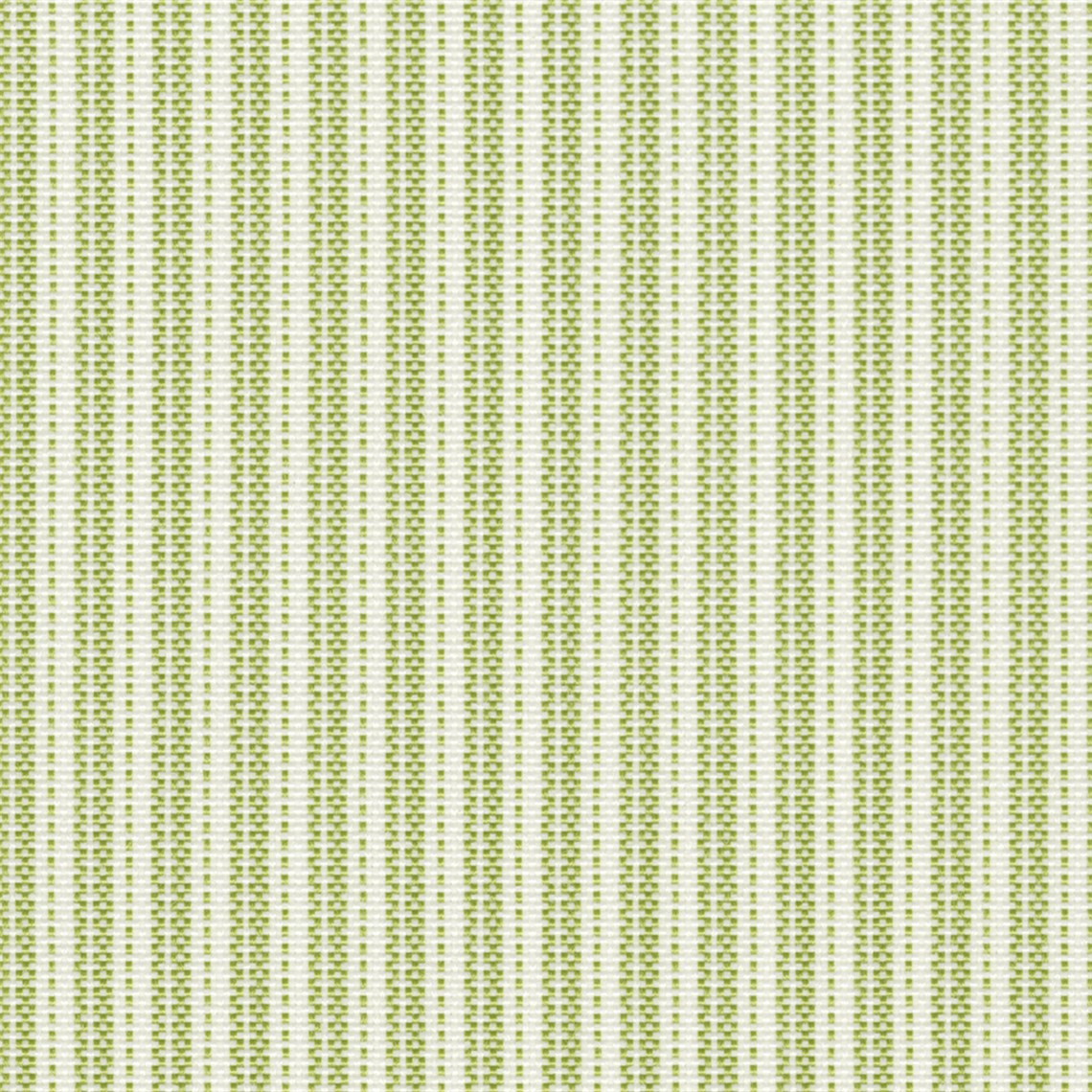 Sunfair_Fennel