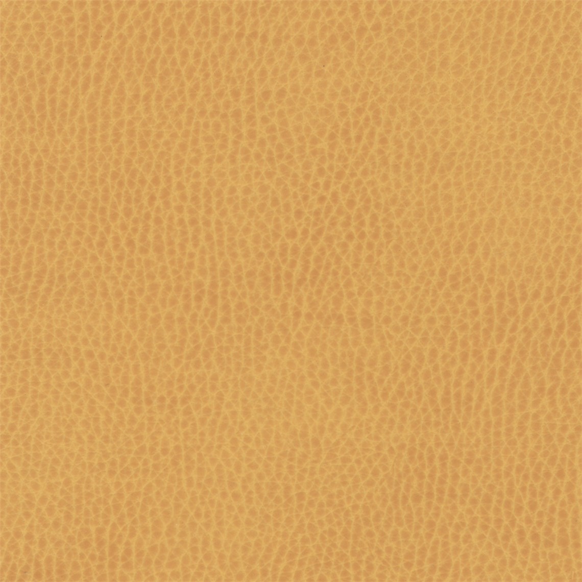Sunnyvale_Maude