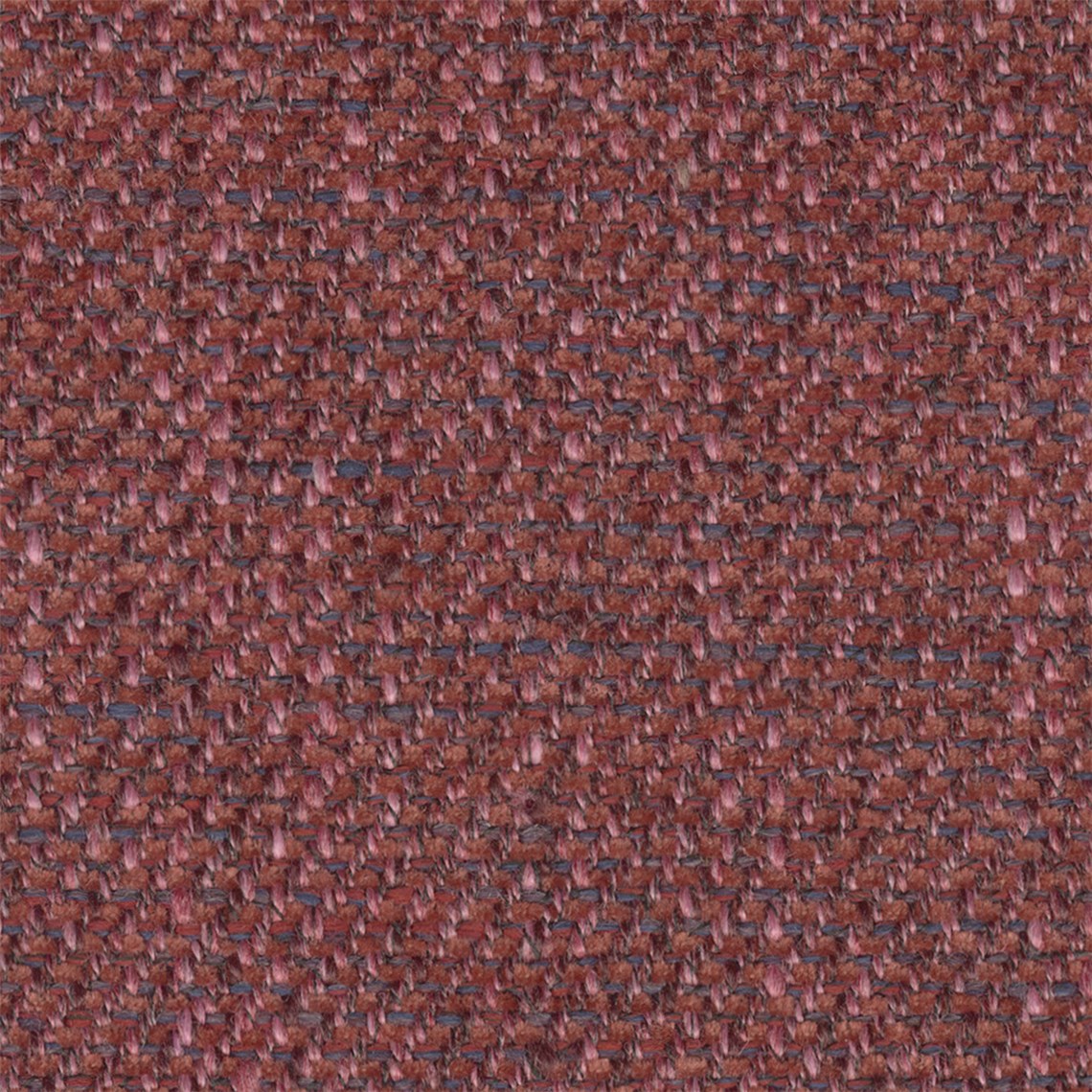 Sutherland_Currant