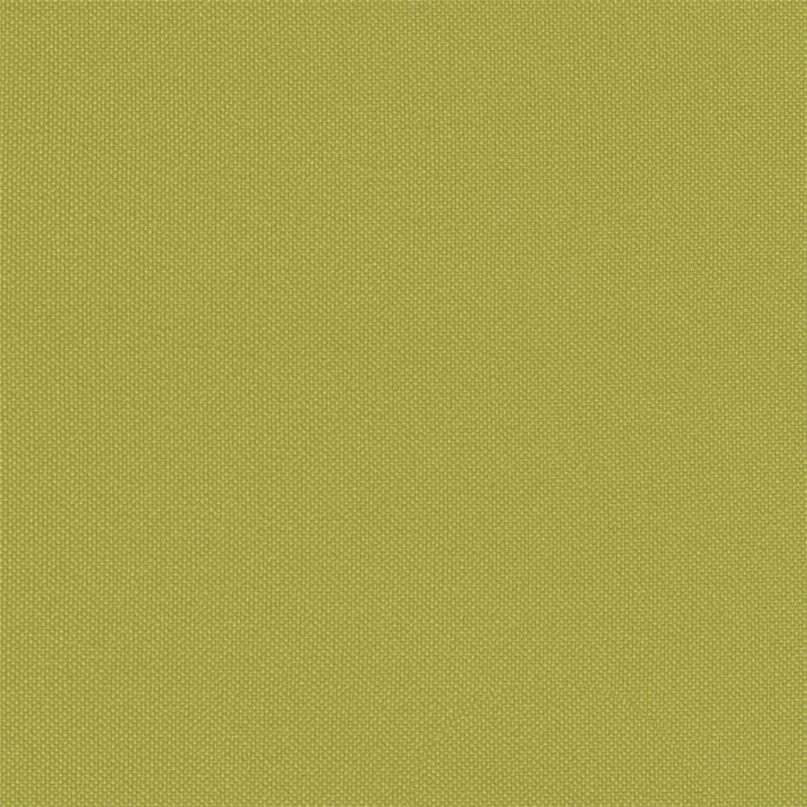 Tailor_Made_Avocado