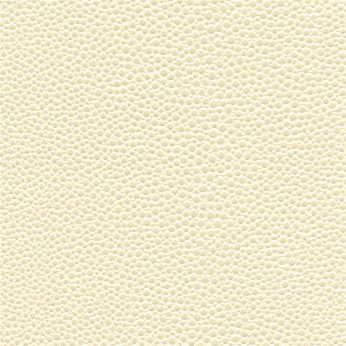 Tampa_Bay_Eggshell
