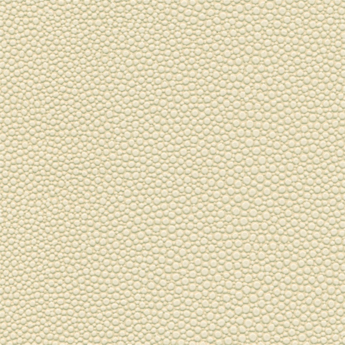 Tampa_Bay_Linen