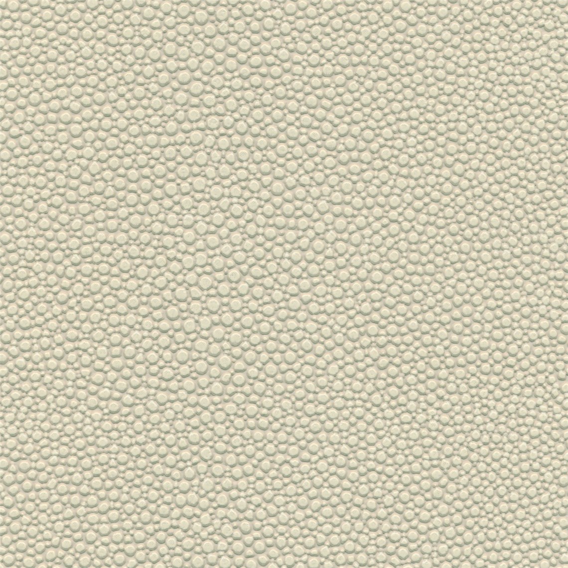 Tampa_Bay_Oatmeal