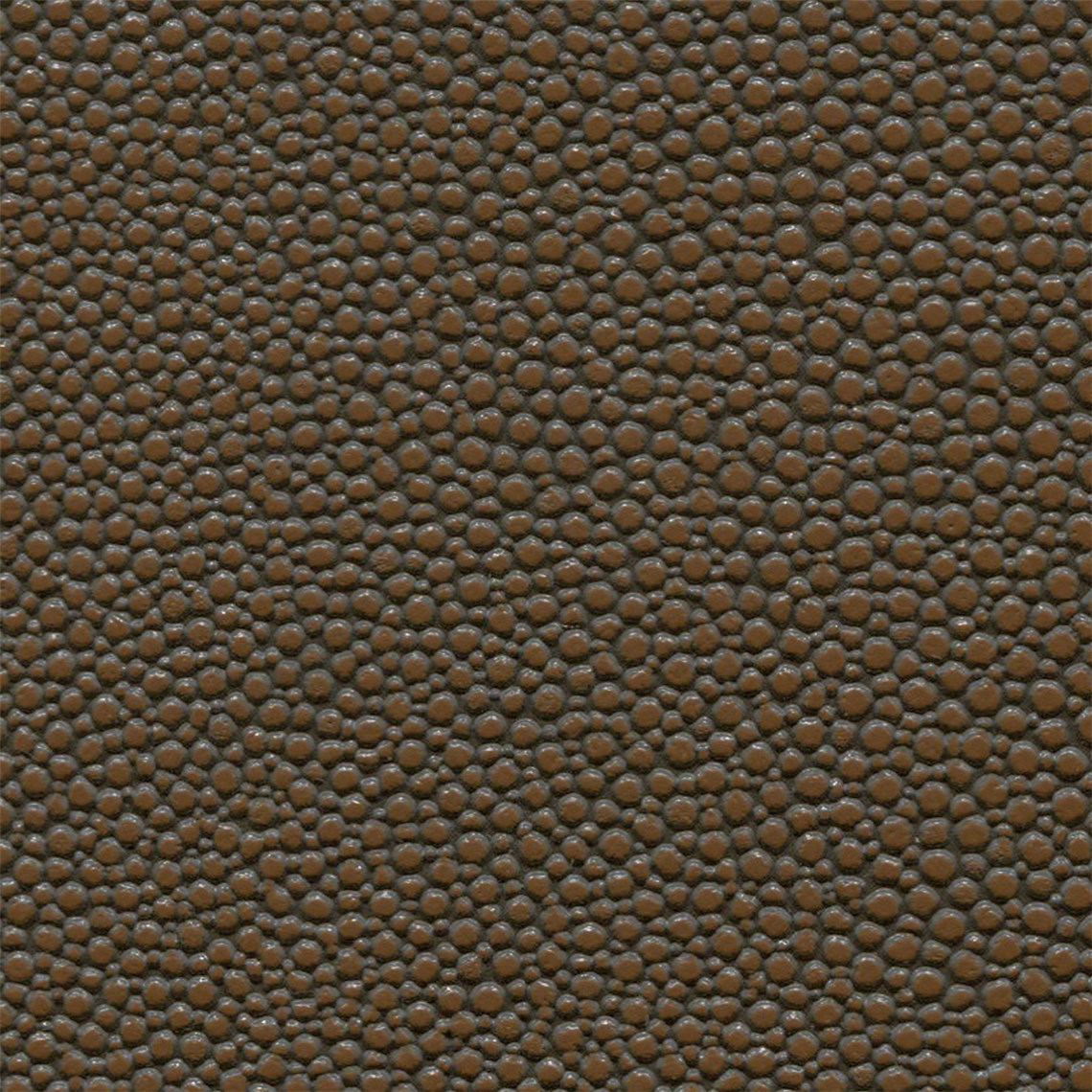 Tampa_Bay_Sumatra