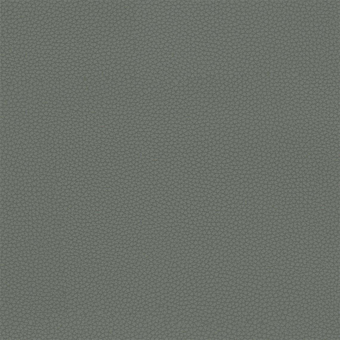 Telfair_Graphite