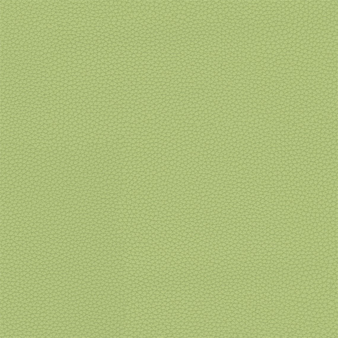 Telfair_Grass