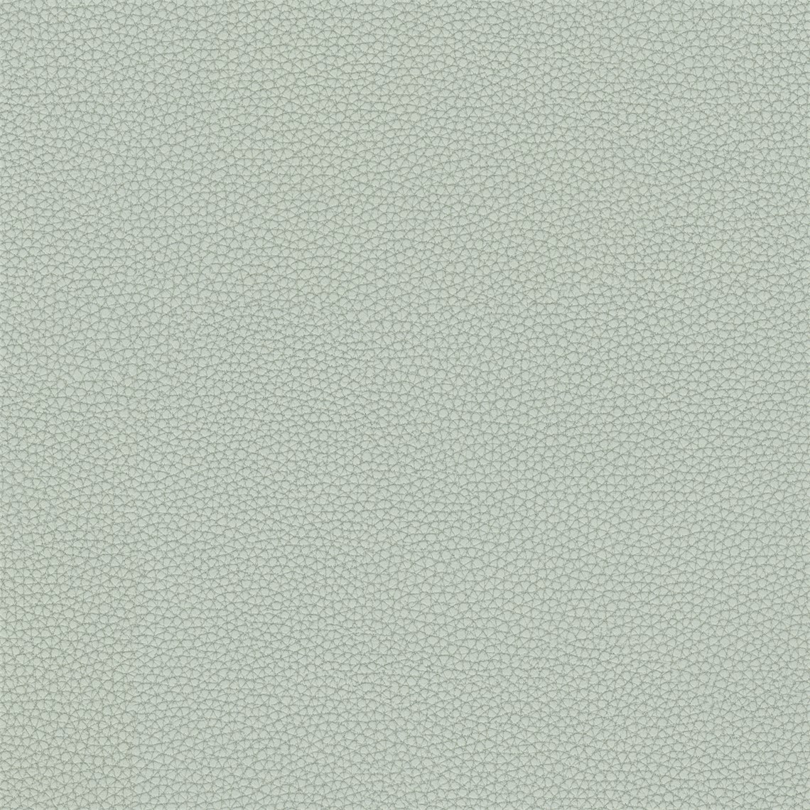 Telfair_Gull