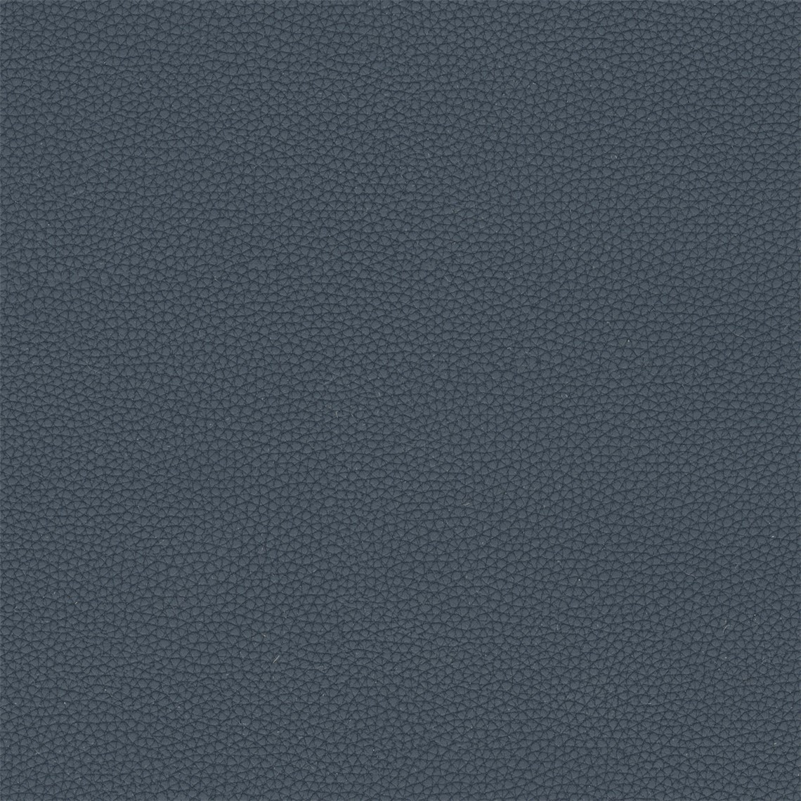 Telfair_Navy