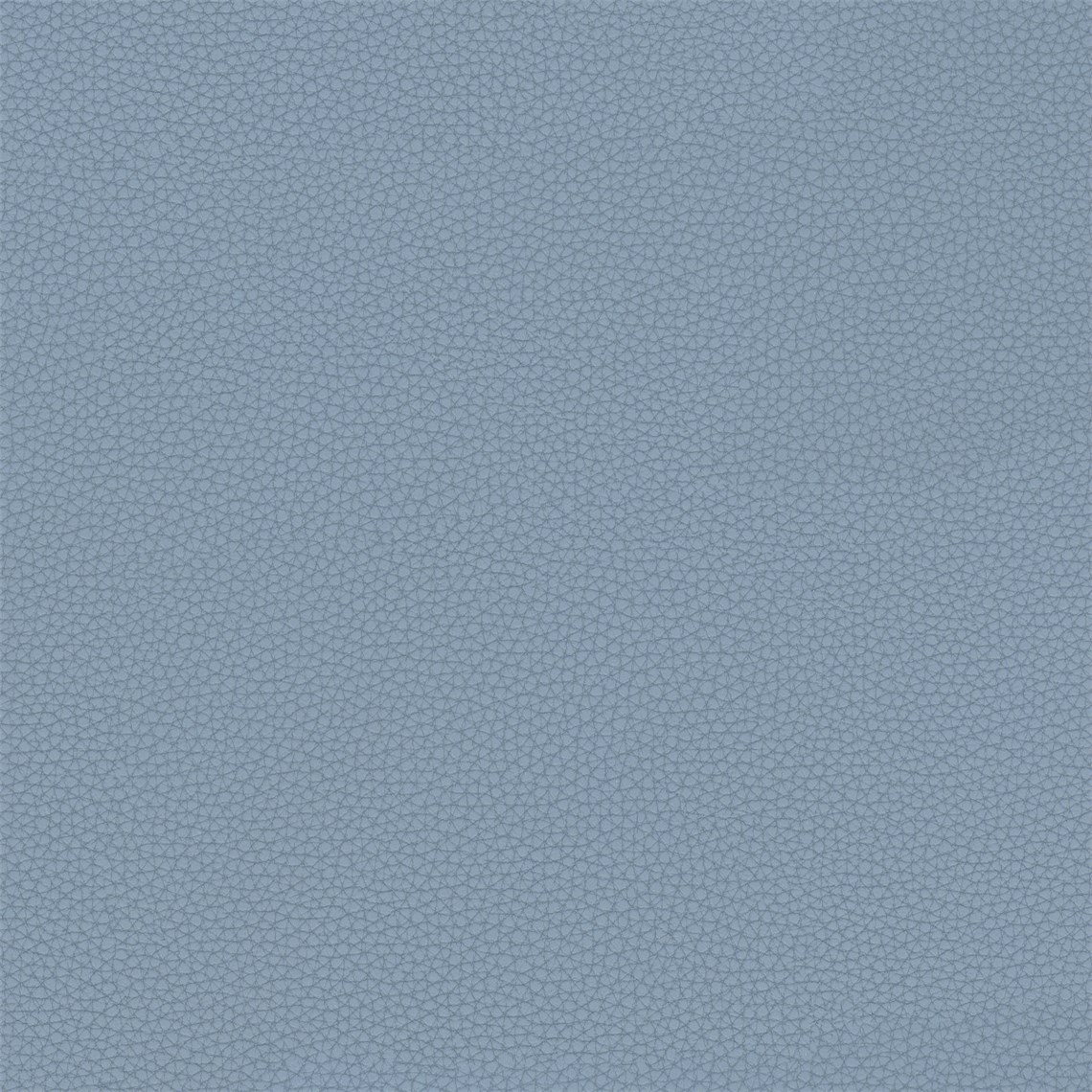 Telfair_Sky