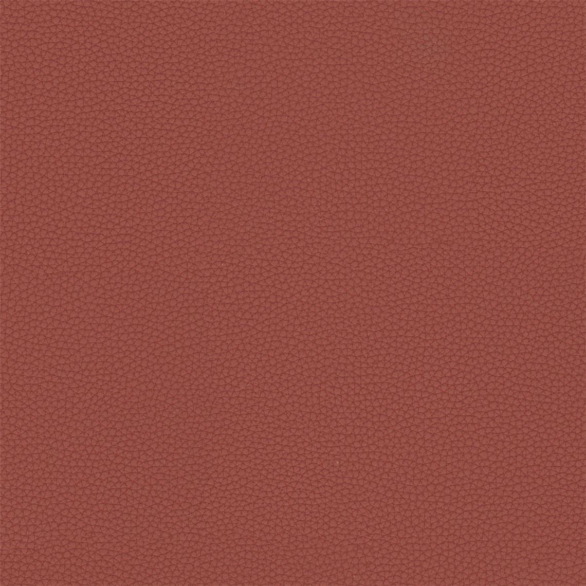 Telfair_Tapas
