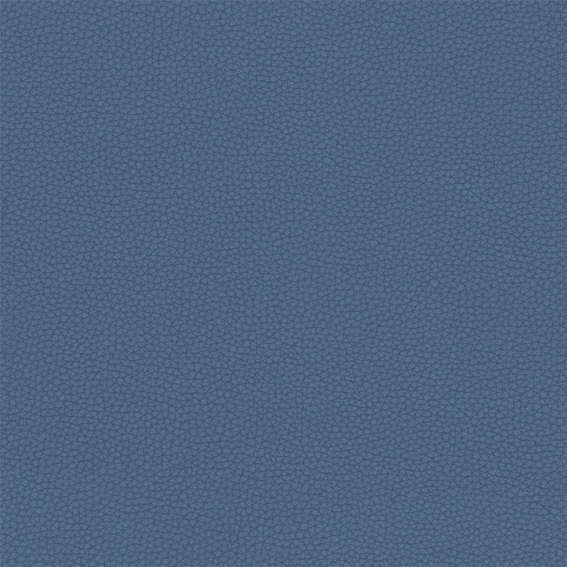 Telfair_Tempest