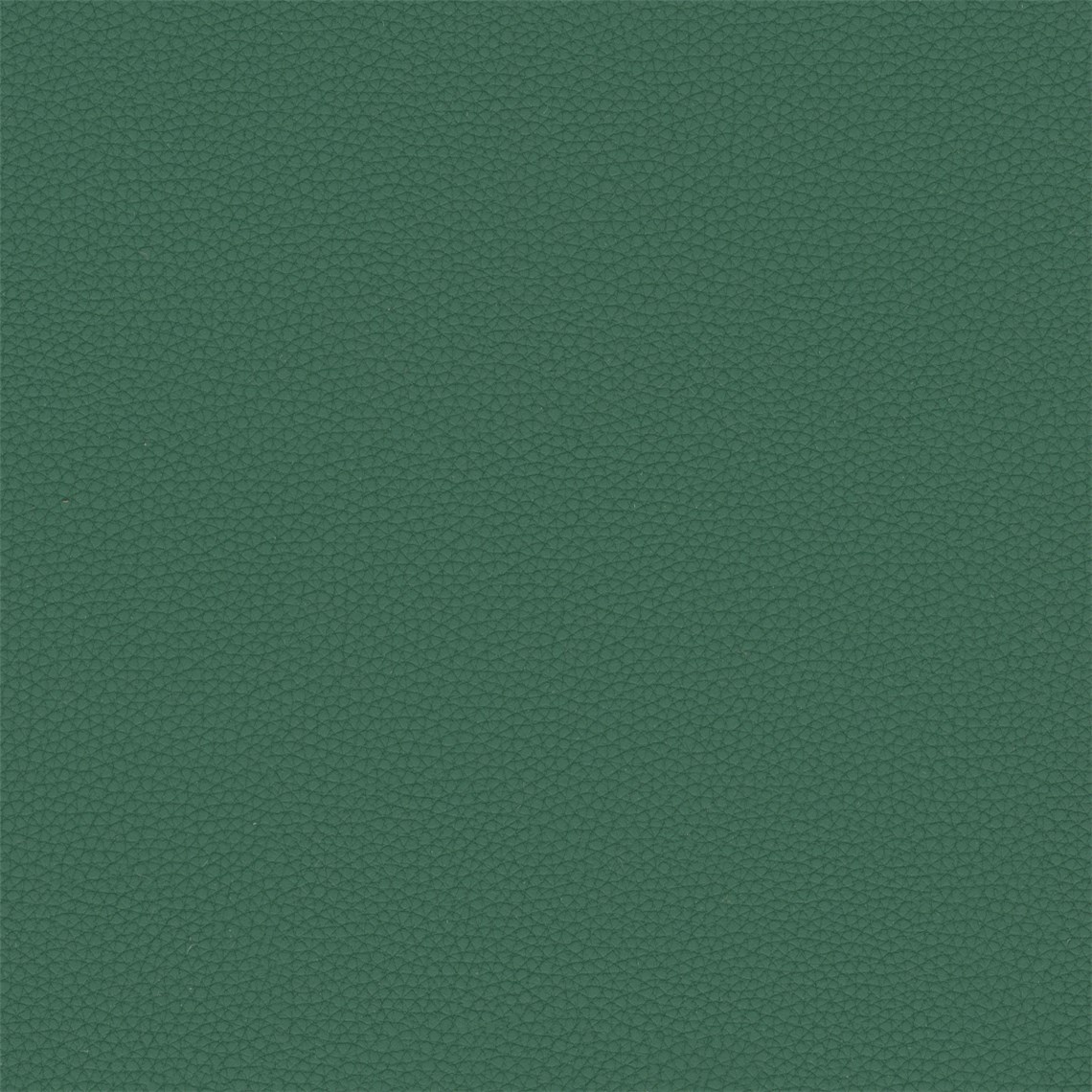 Telfair_Tropic