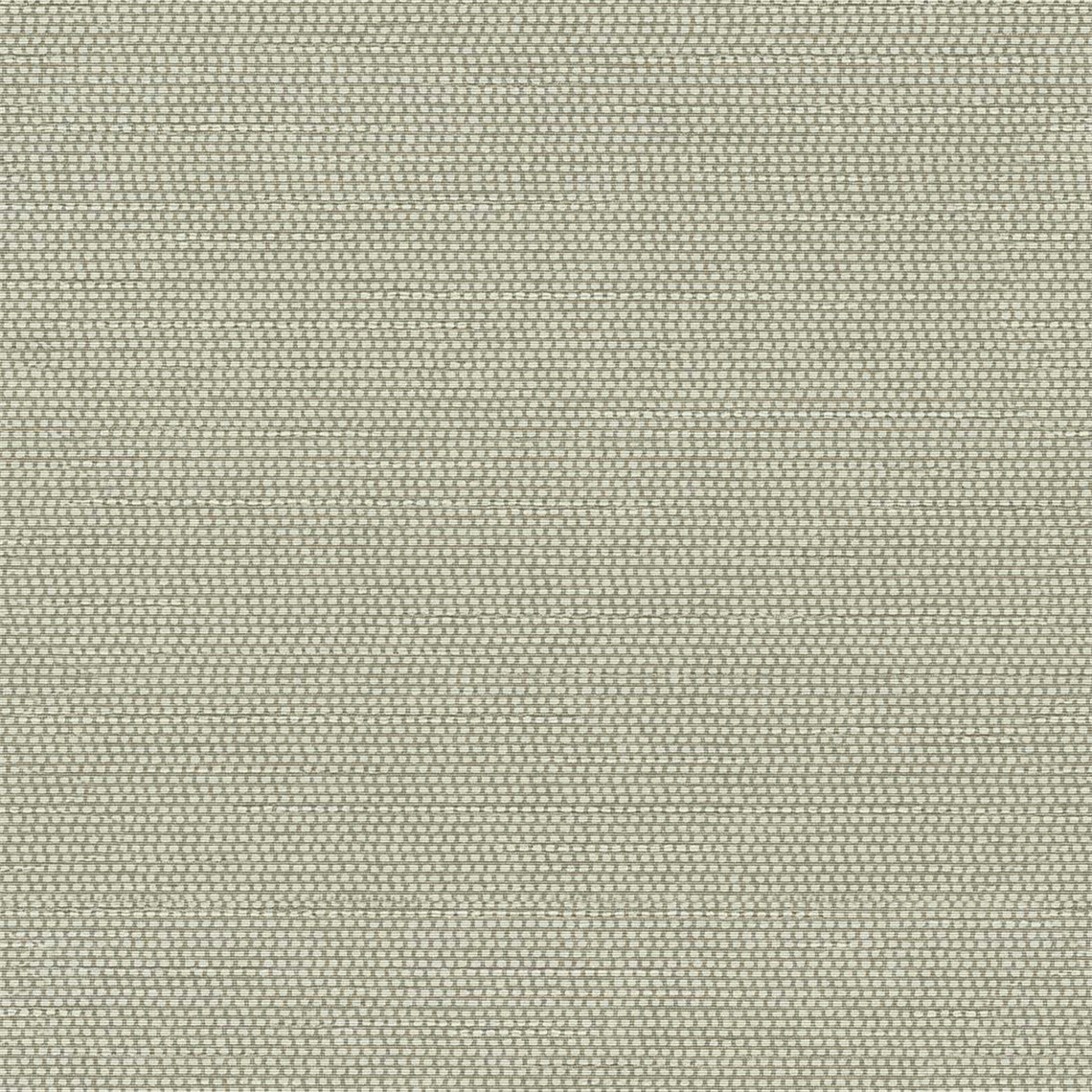 Thoreau_Fog