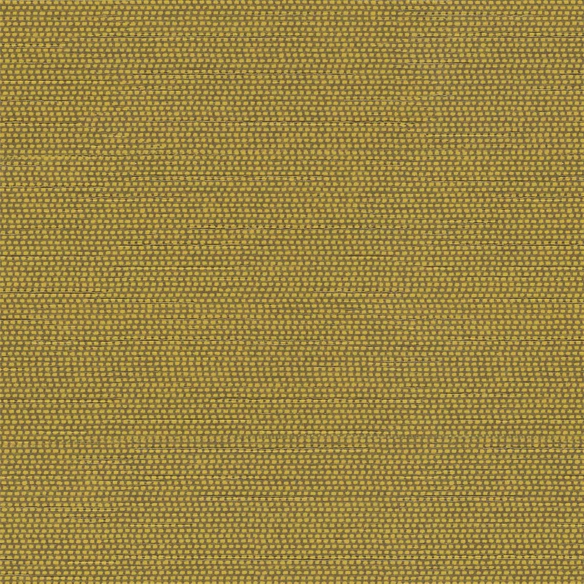 Thoreau_Ochre