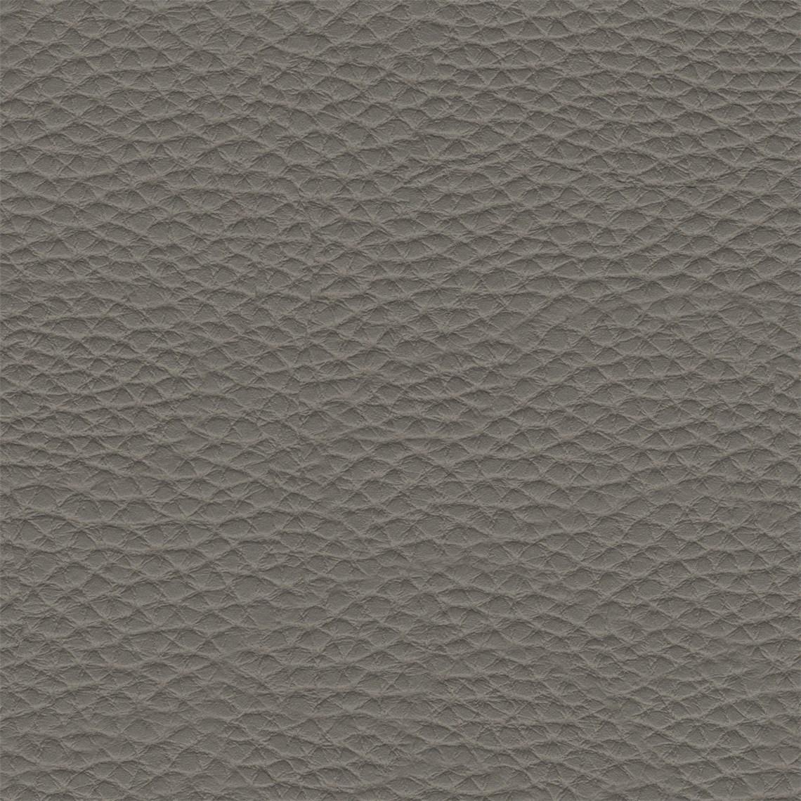 Thoroughbred_Carbon
