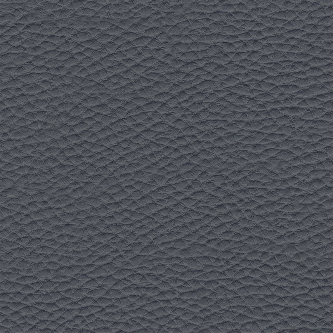 Thoroughbred_Deep_Sea