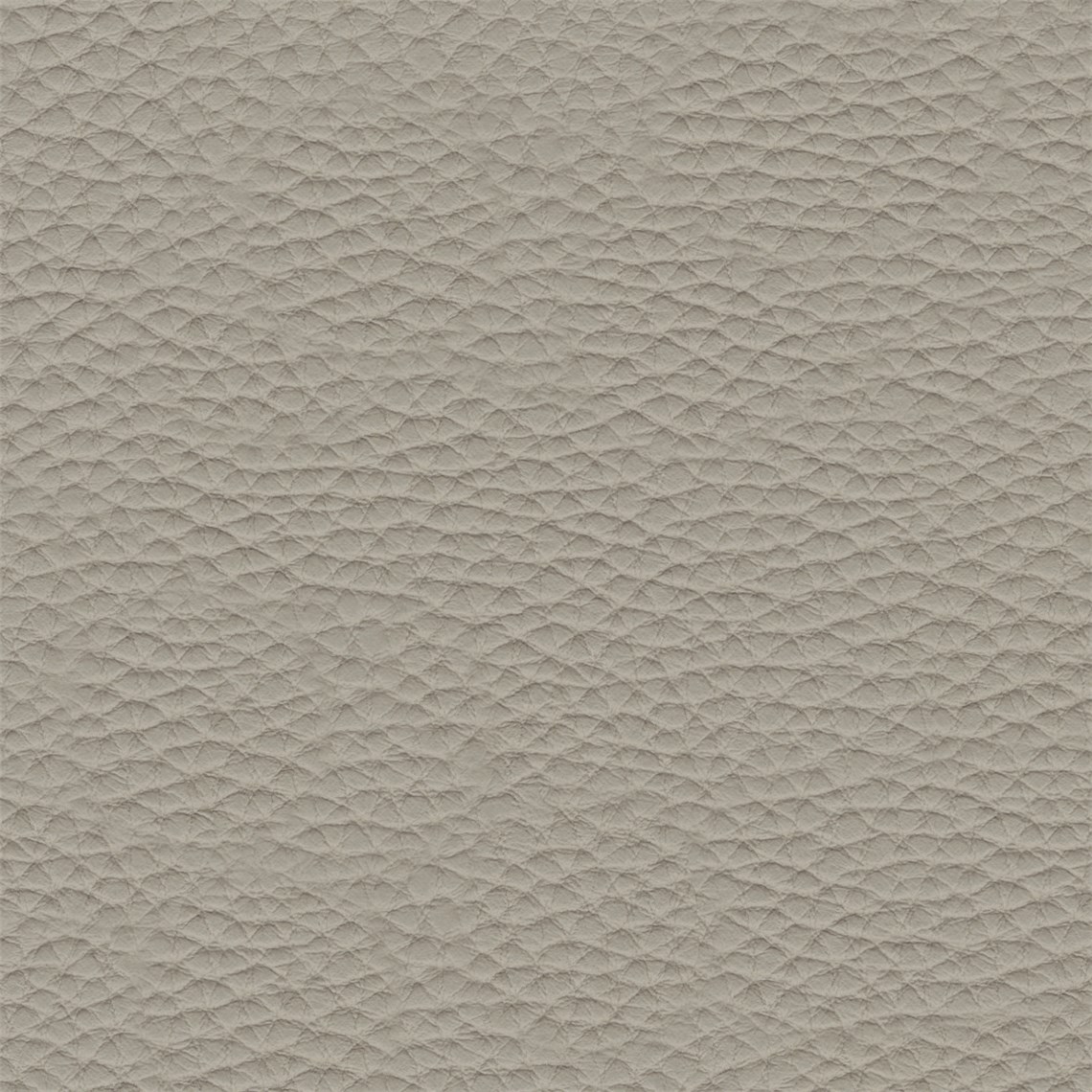 Thoroughbred_Pebble