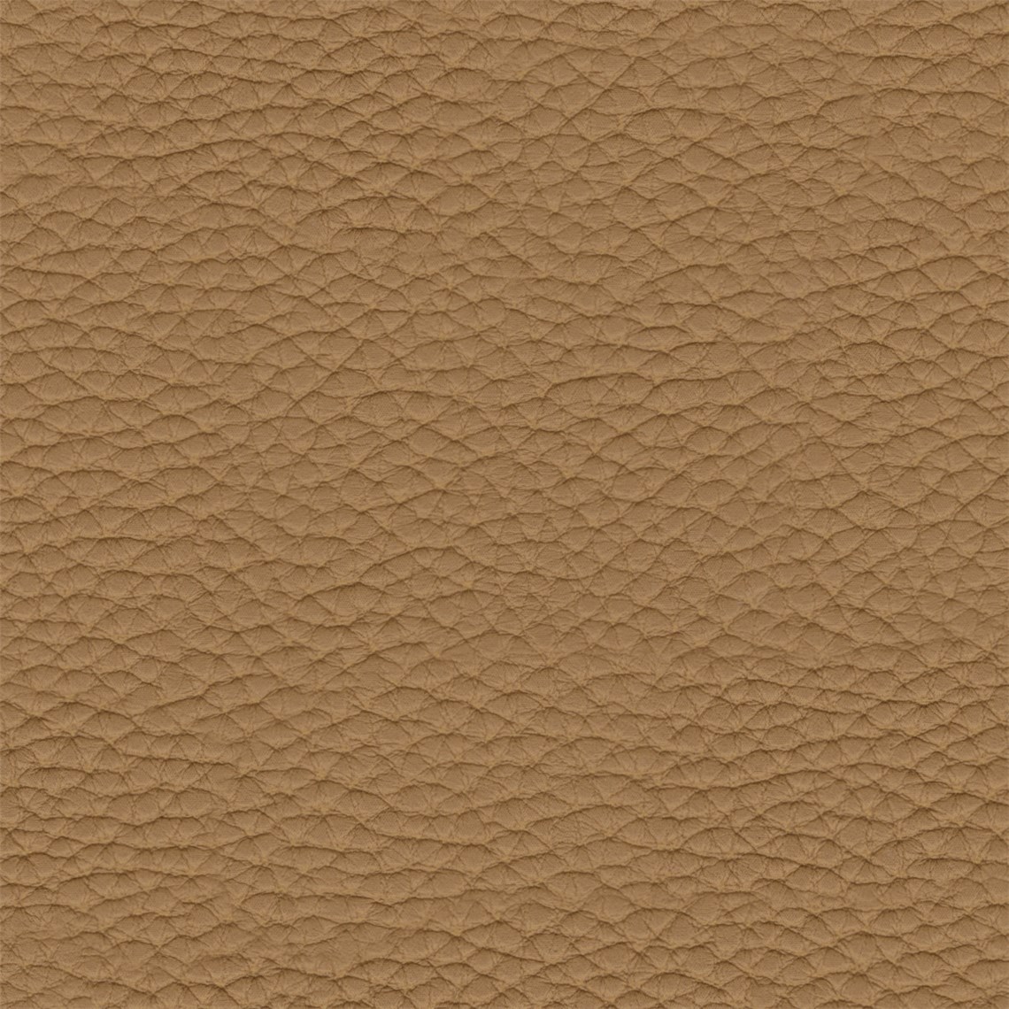 Thoroughbred_Saddle