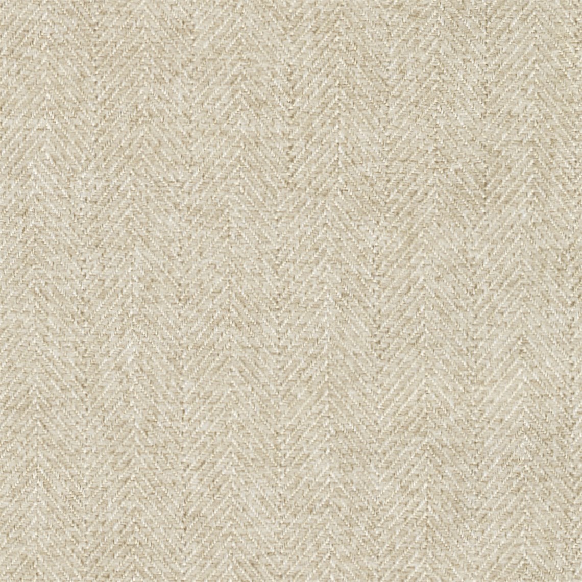 Timeless_Cream