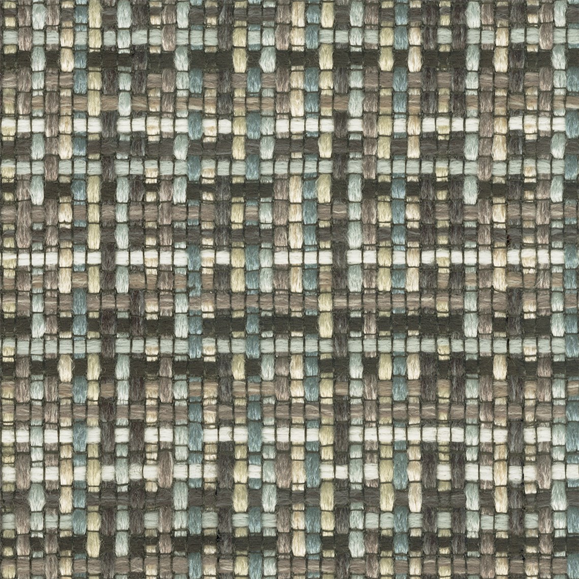 Tricolore_Sarcelle