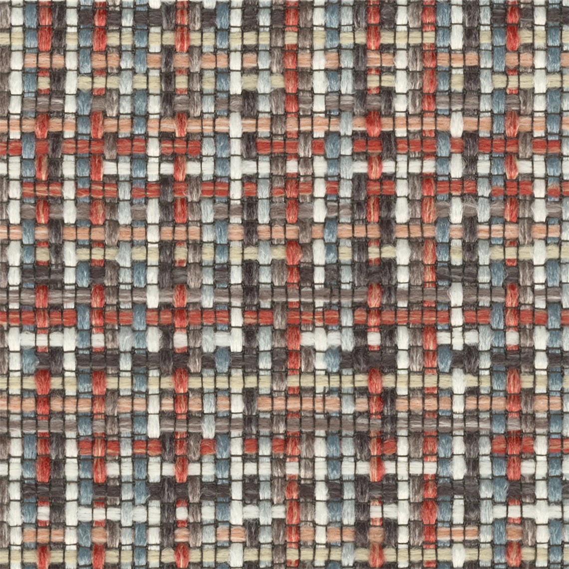 Tricolore_Tomato
