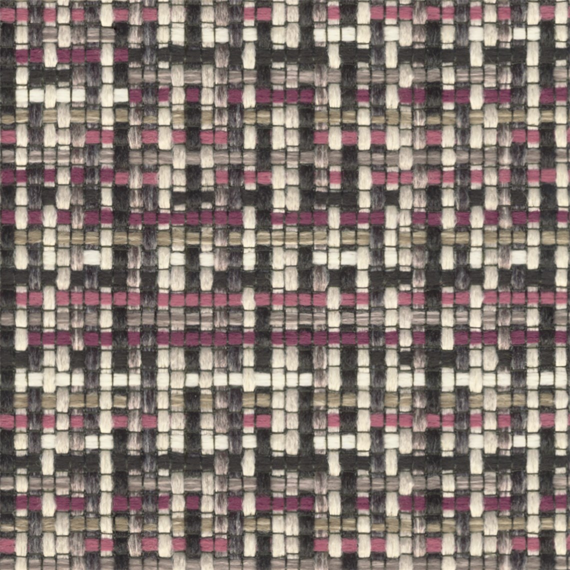 Tricolore_Violet