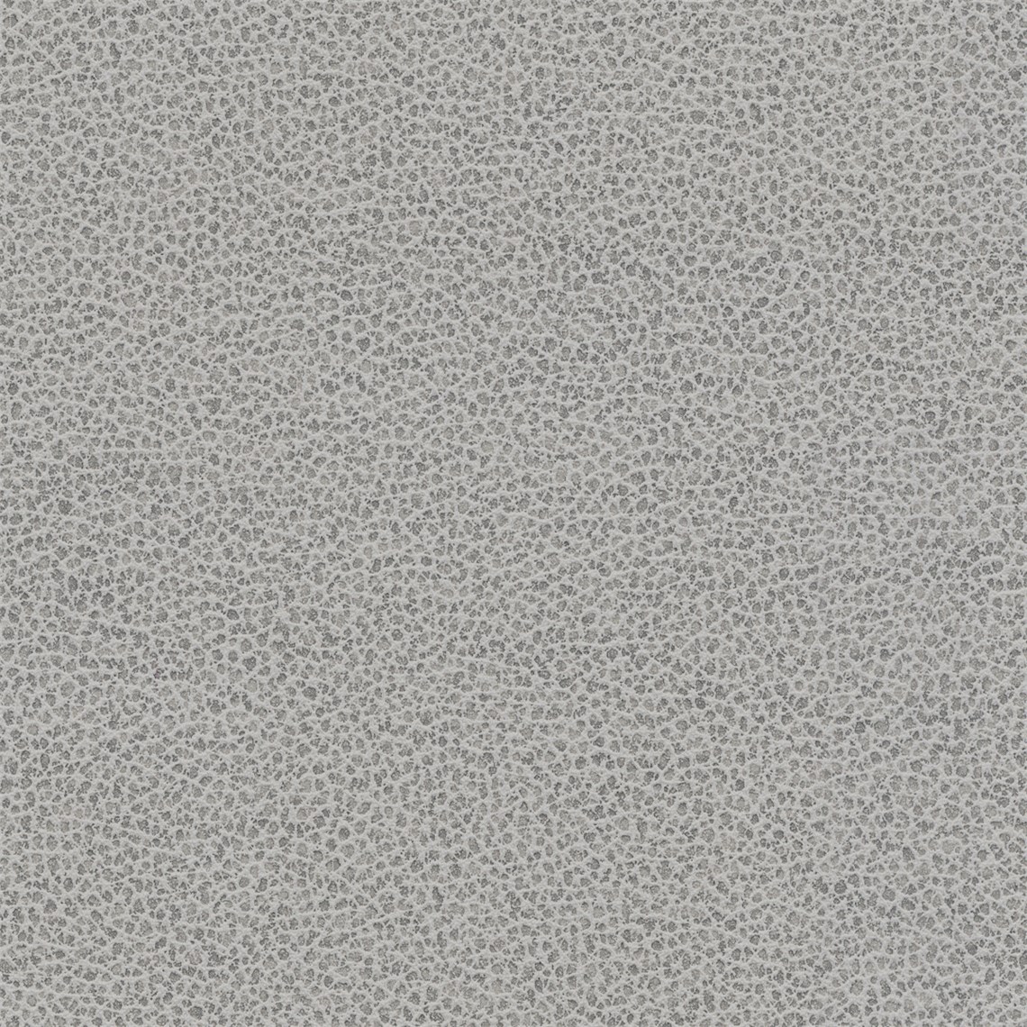 Tuatara_Cement