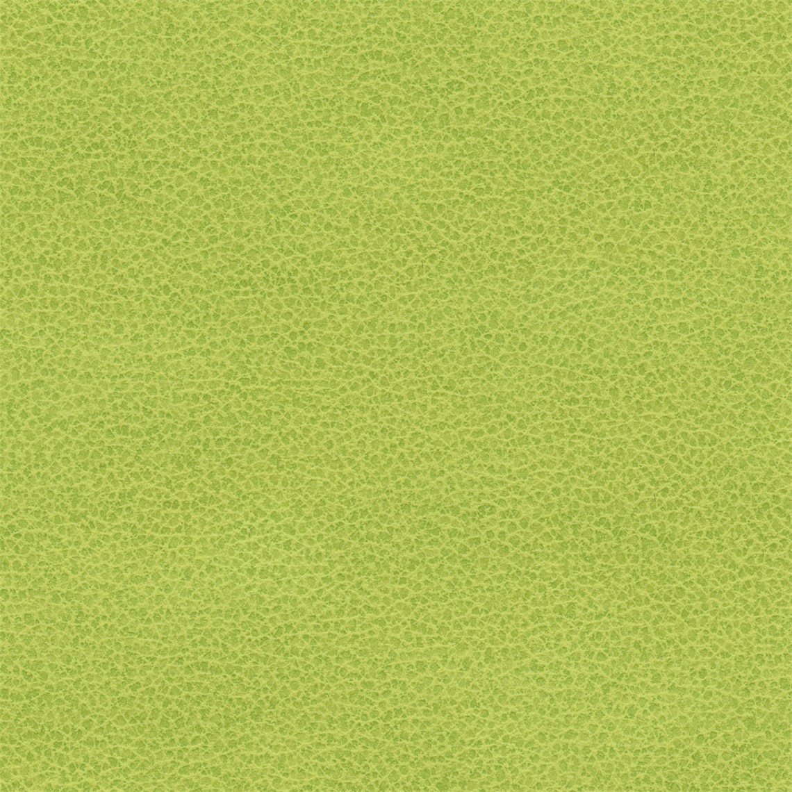 Tuatara_Lime
