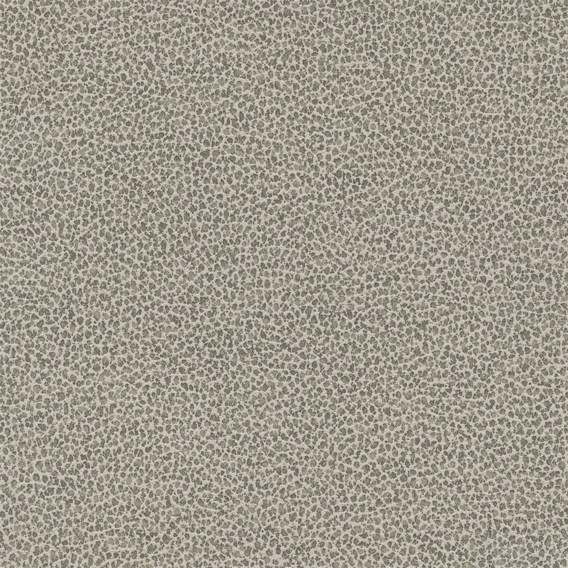 Tuatara_Limestone