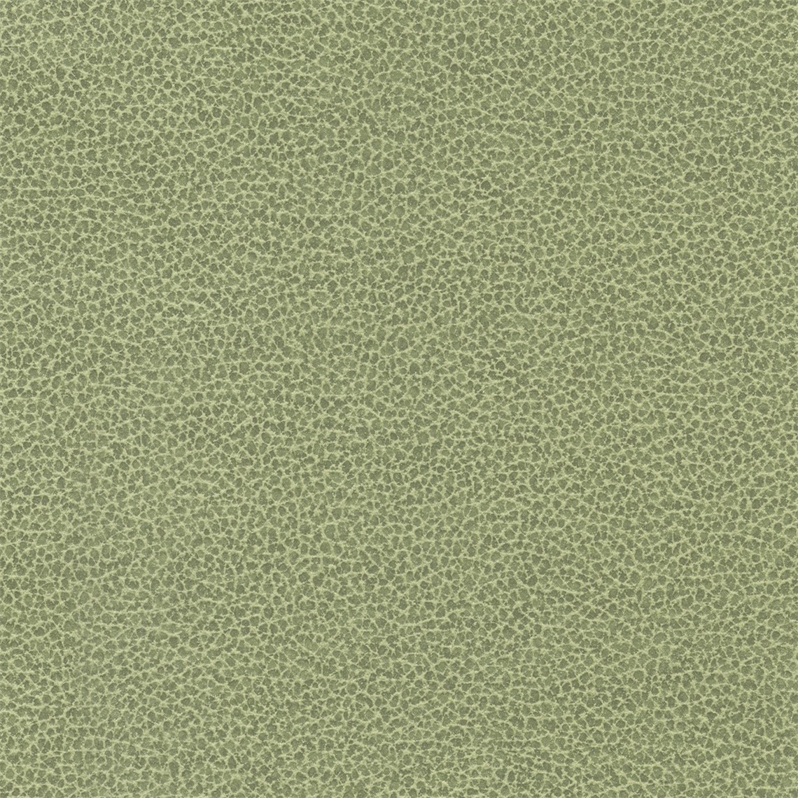 Tuatara_Moss