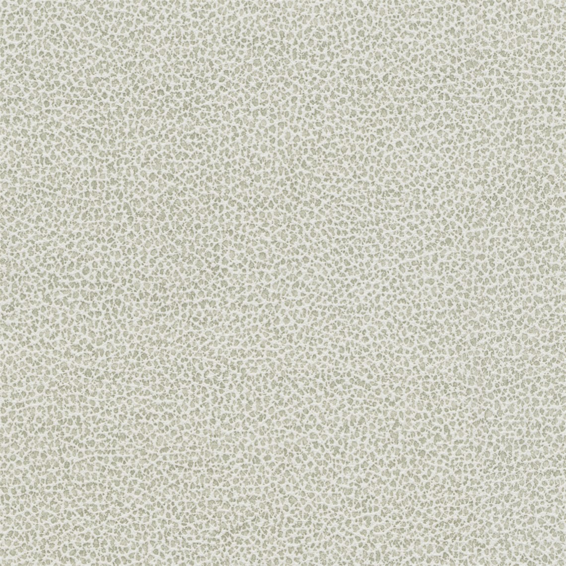 Tuatara_Parchment