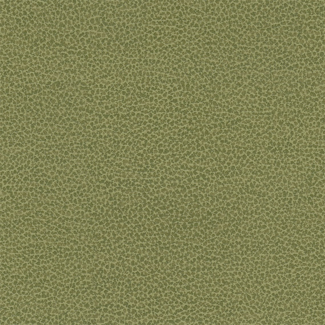 Tuatara_Pasture