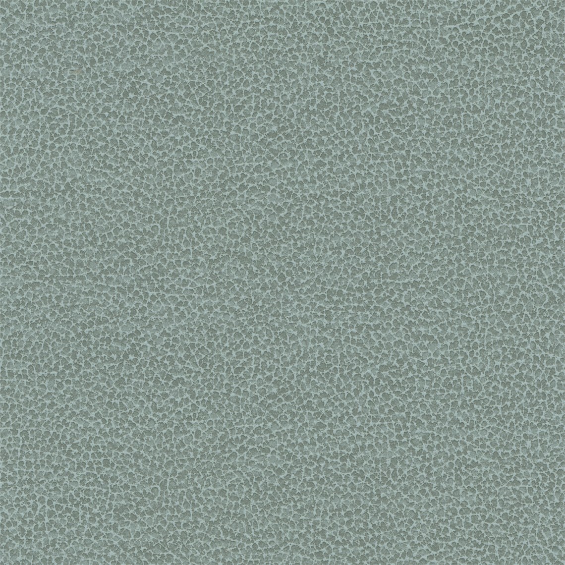 Tuatara_Robin_Egg
