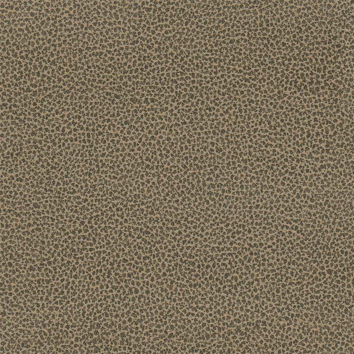 Tuatara_Sepia