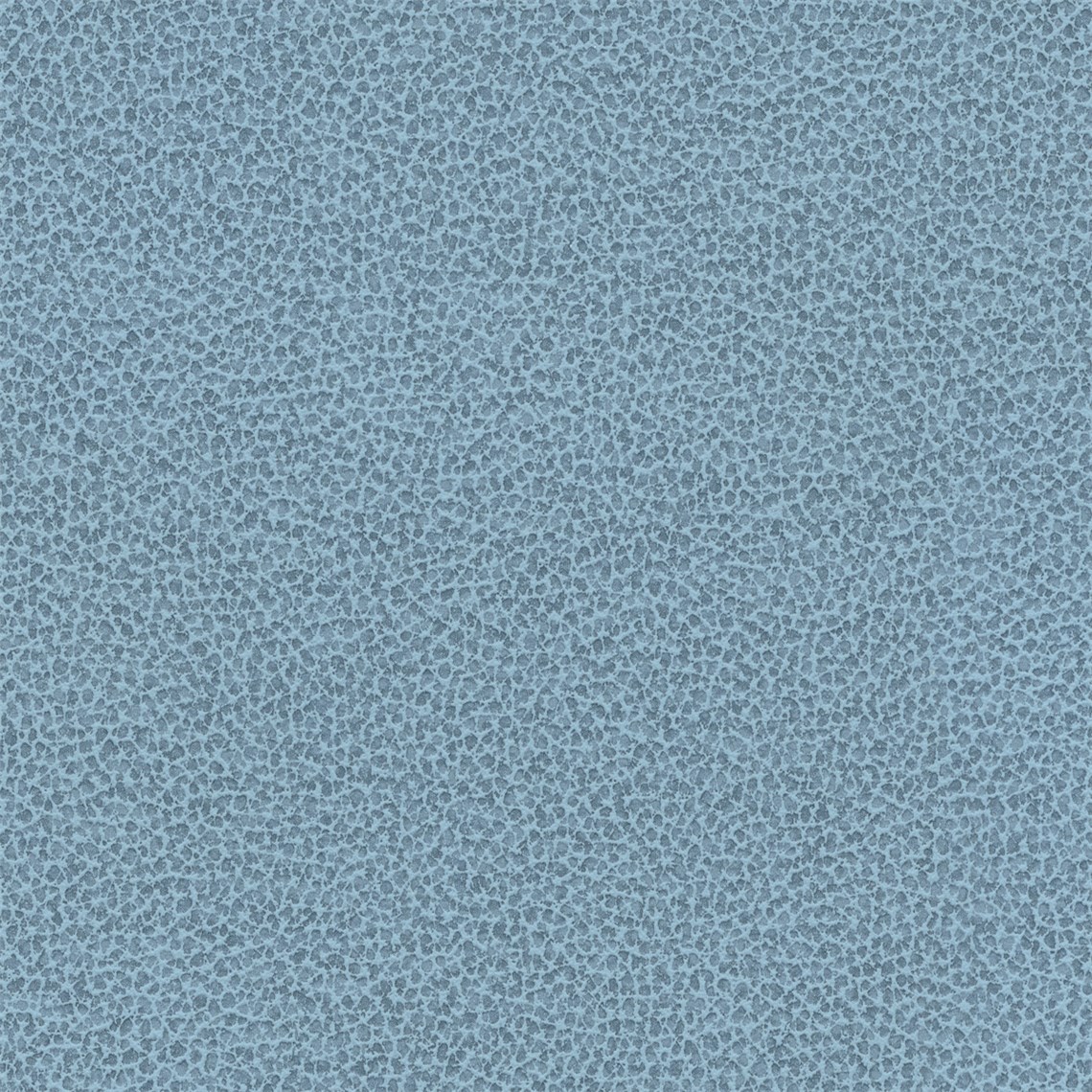 Tuatara_Sky