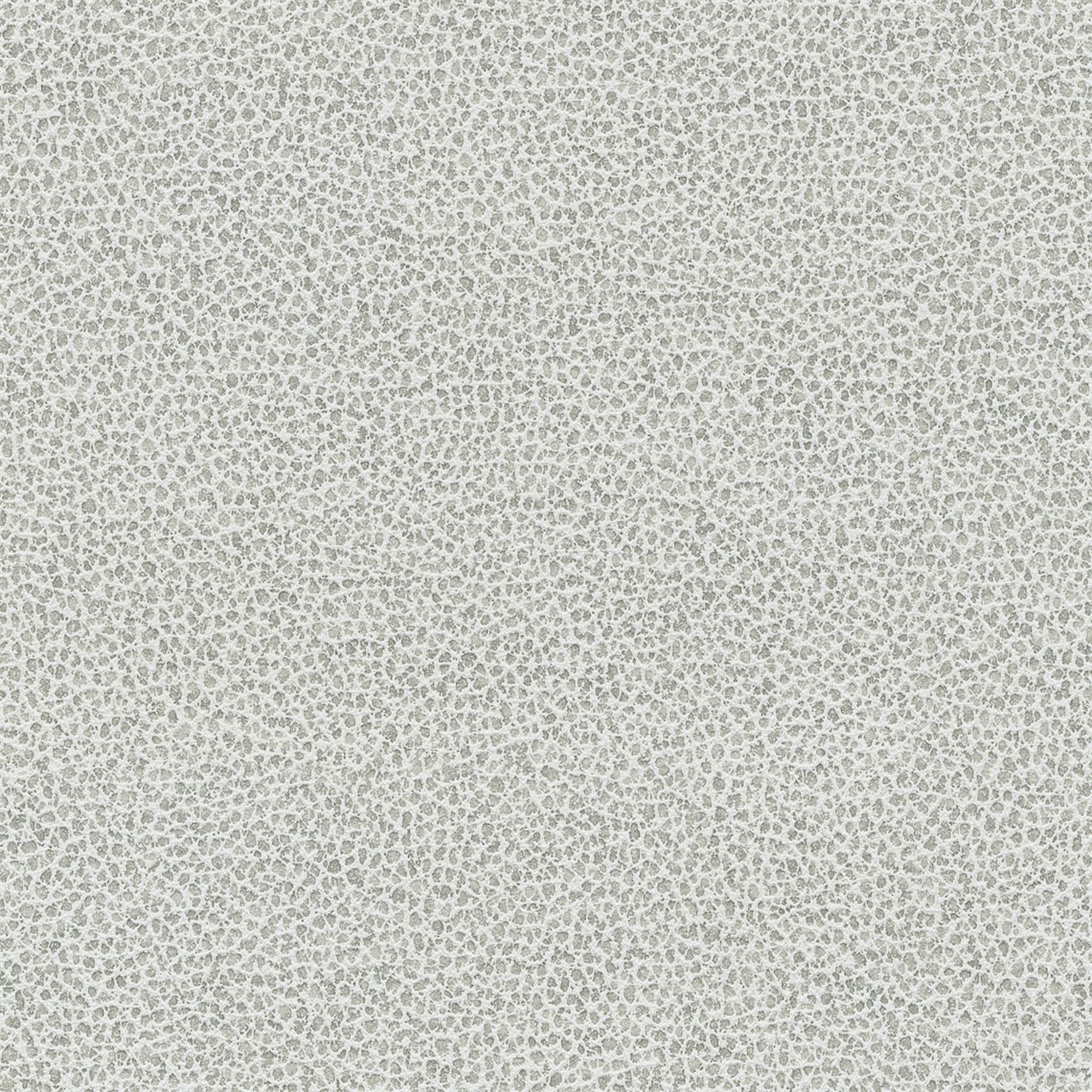 Tuatara_Stone
