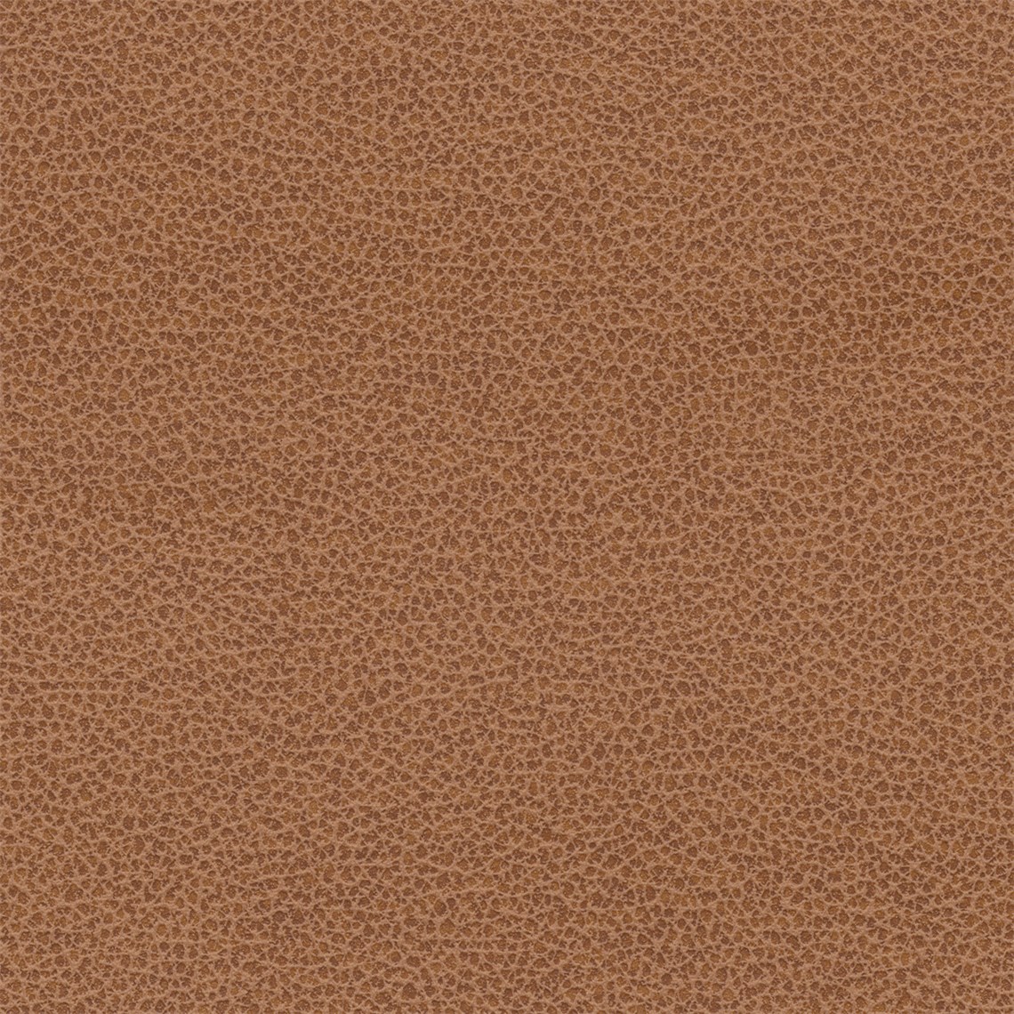Tuatara_Terracotta