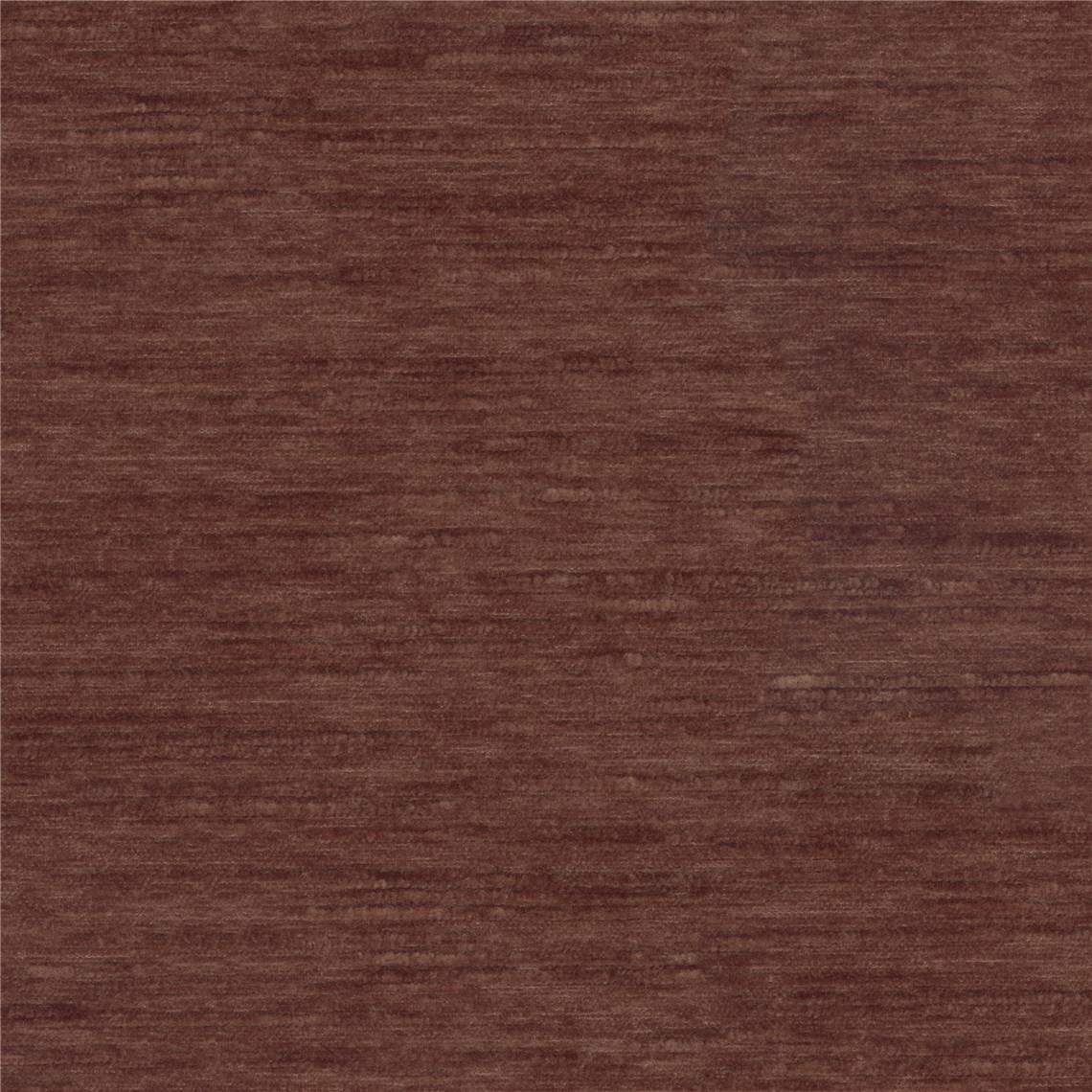 Tufted_Broody