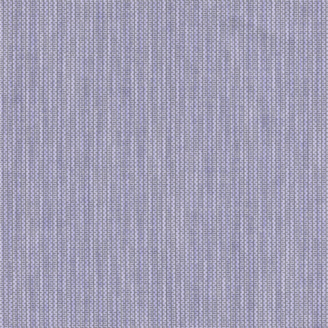 Unwind_Crocus