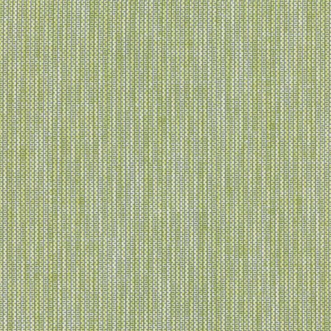 Unwind_Fern