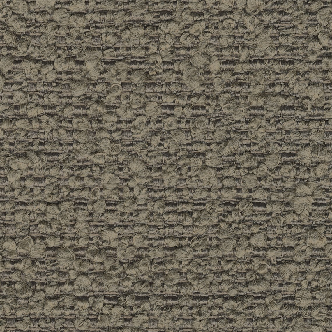 Valais_Nutmeg